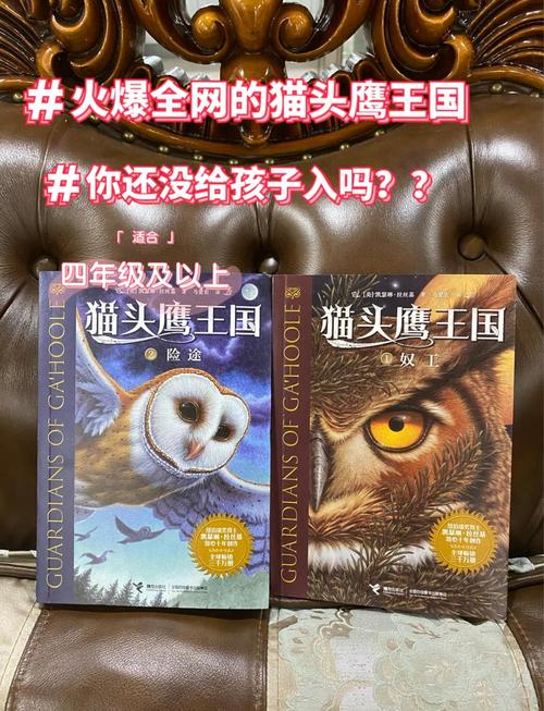 猫头鹰小说app