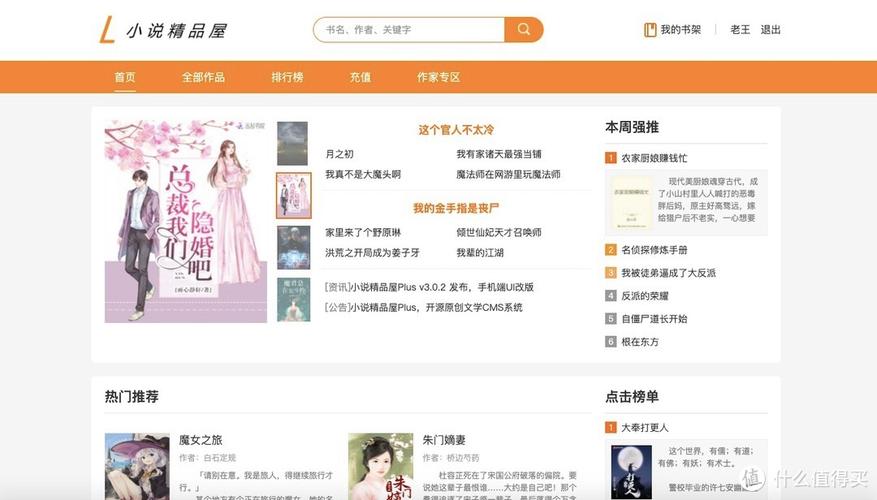 程序员小说