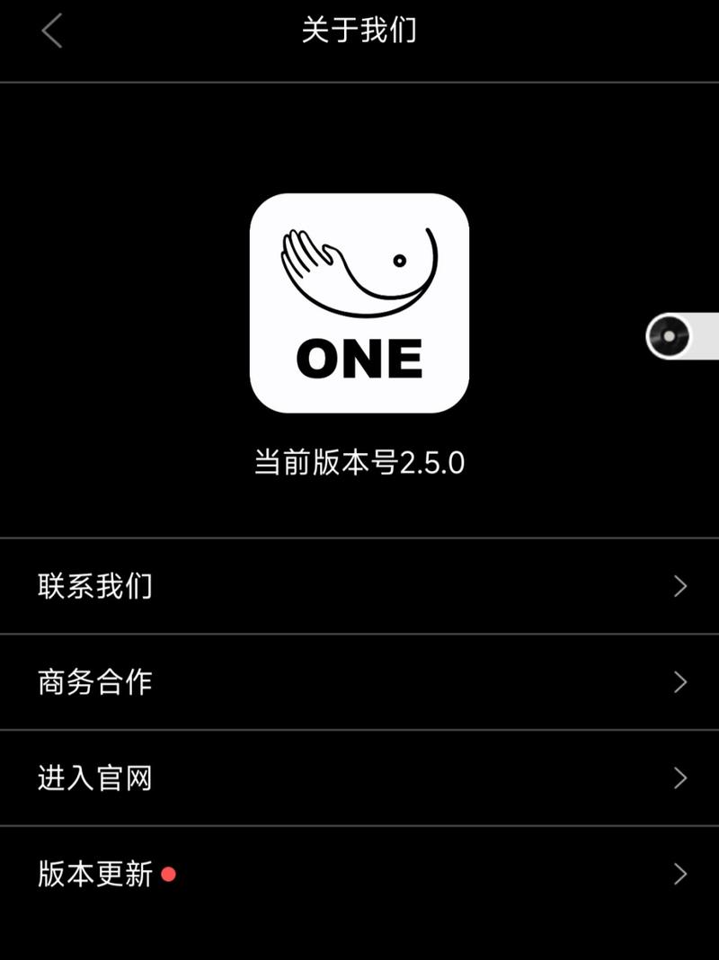 成年的世界one一个就够了安装包