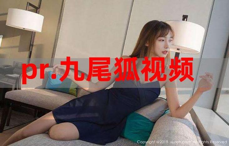 pr九尾狐正能量游戏软件