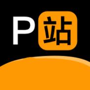 P站官方版图标