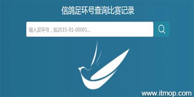 免费查询鸽子全部成绩足环查询游戏截图