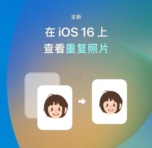 可以识别重复照片的软件图标