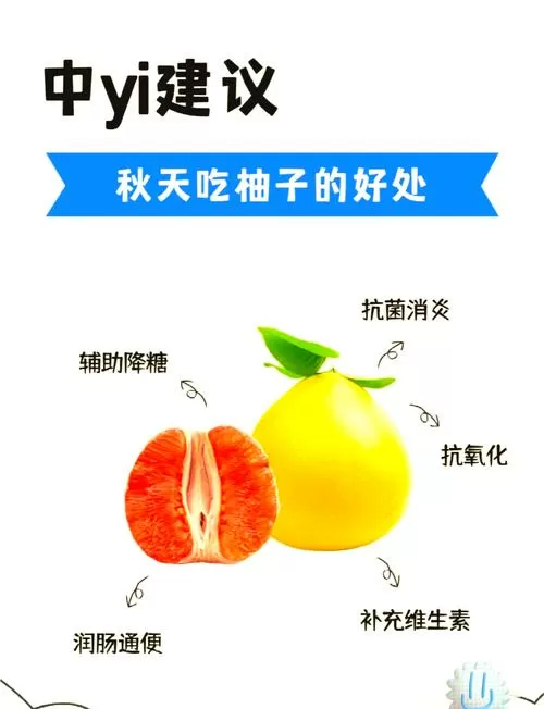 小柚子的功效与作用游戏截图