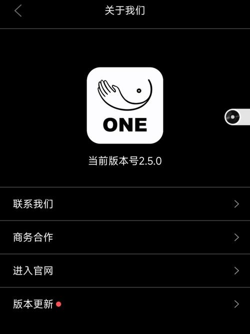 成年的世界one一个就够了2022缩略图