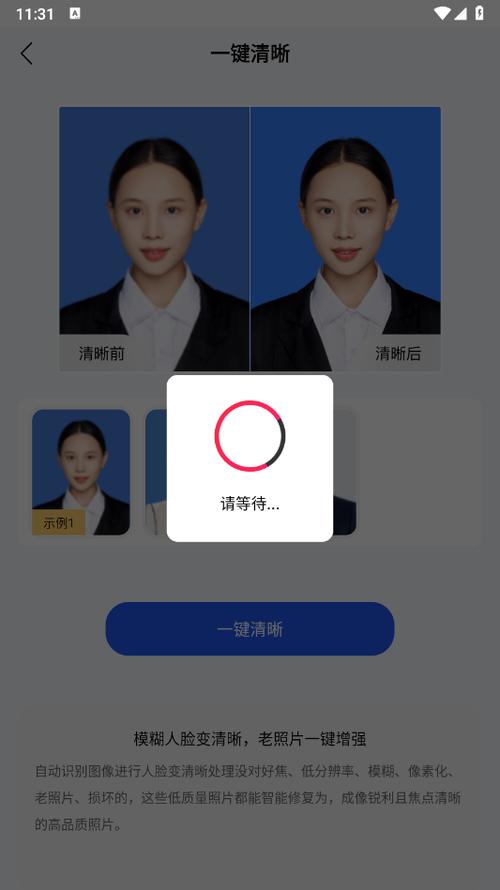 旗帜照片处理软件免费版