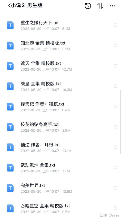百度网盘小说TXT全文