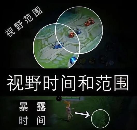 王者荣耀辅助开视野是什么意思中文字幕缩略图