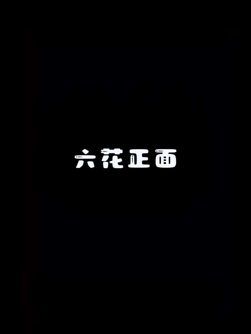 六花端口6.0最新版本缩略图