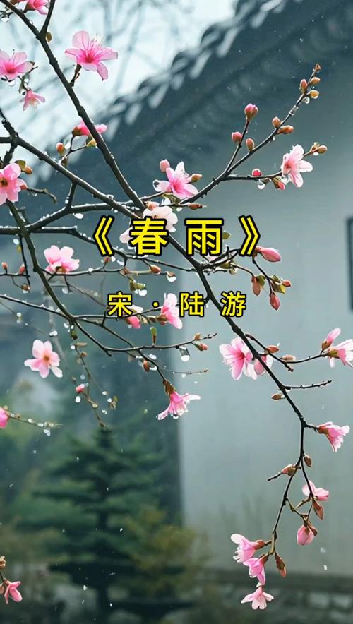 春雨免费观看高清全集