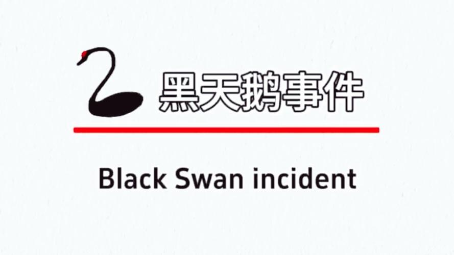 黑天鹅全国门店一览表辅助工具缩略图