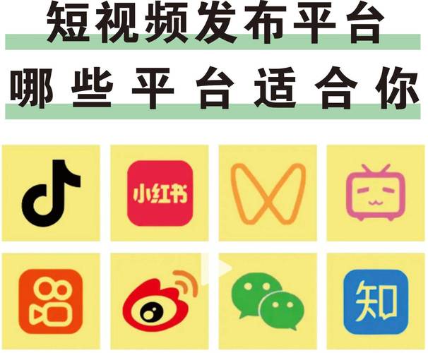 10款成品短视频入口在哪里免费缩略图