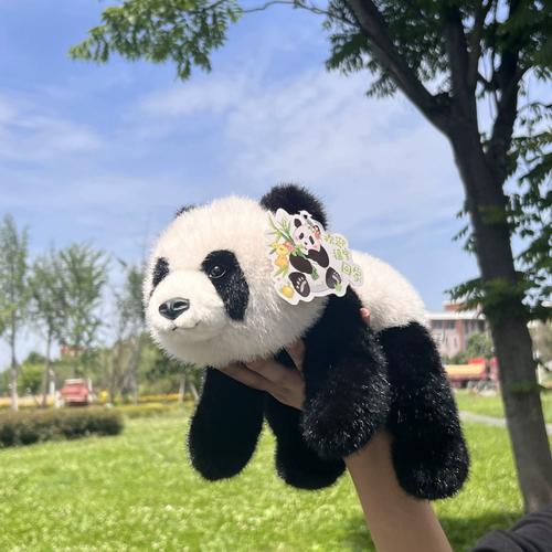 panda activate熊猫映射激活永久会员版