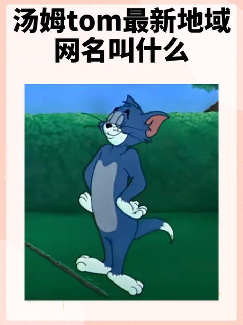 汤姆叔叔tom最新地域网名yue