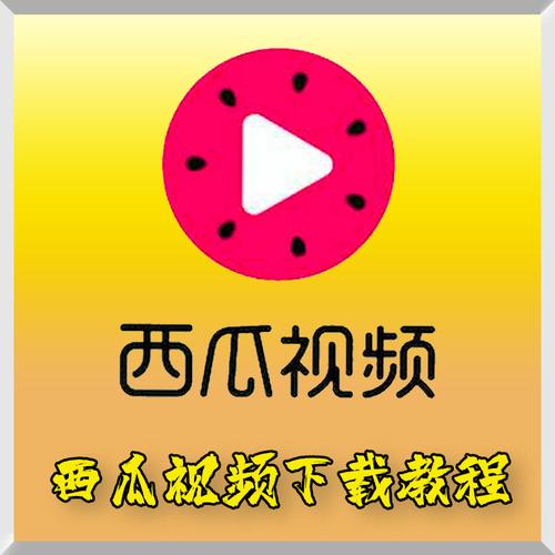 西瓜视频去广告精简版去升级无限流量免费观看