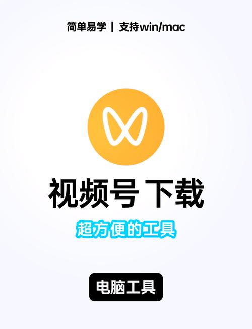 全民小视频自动刷播放安装到手机缩略图