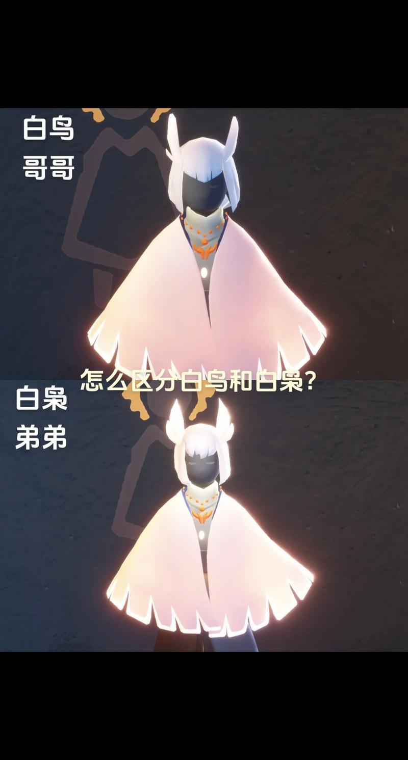 sky白鸟光遇全物品版种植脚本