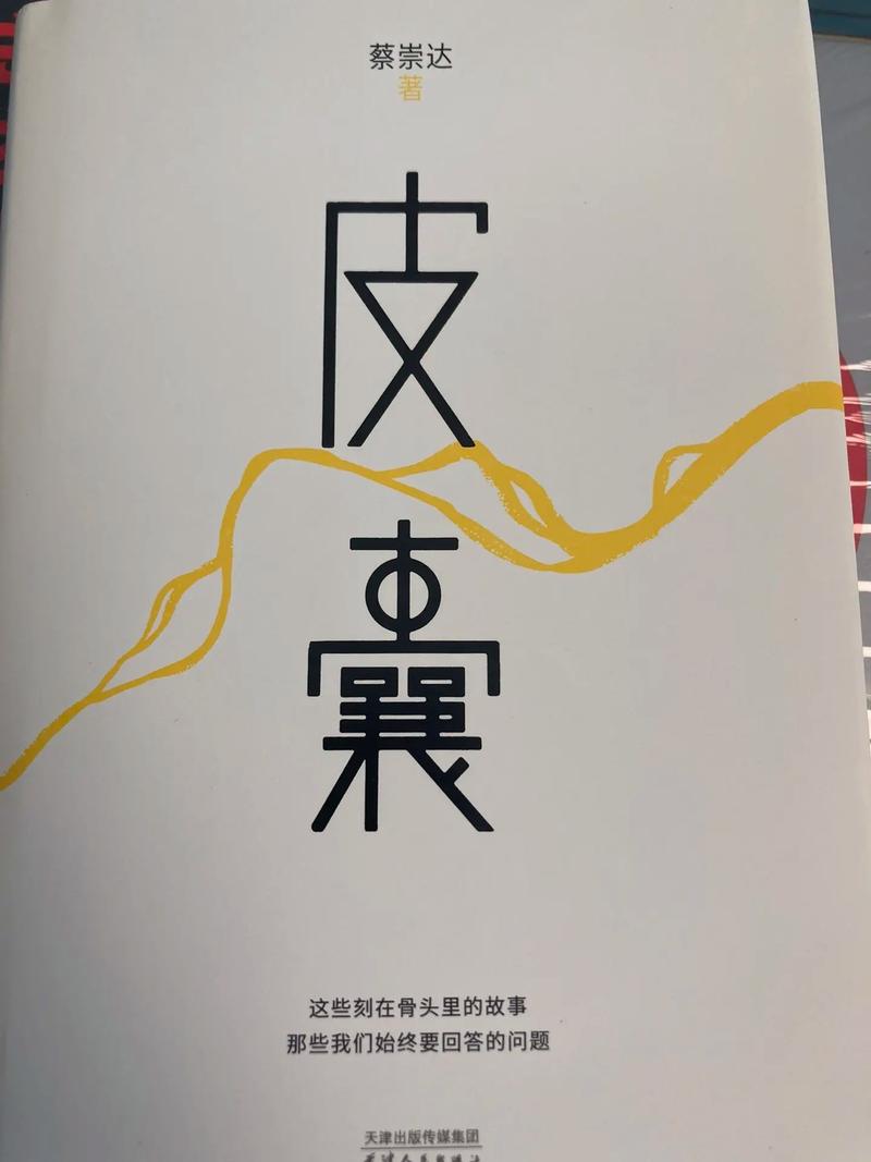 皮皮书小说缩略图