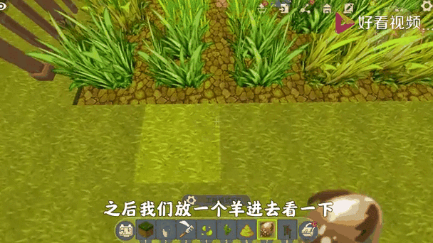 迷你世界存档修改器教程视频大全缩略图