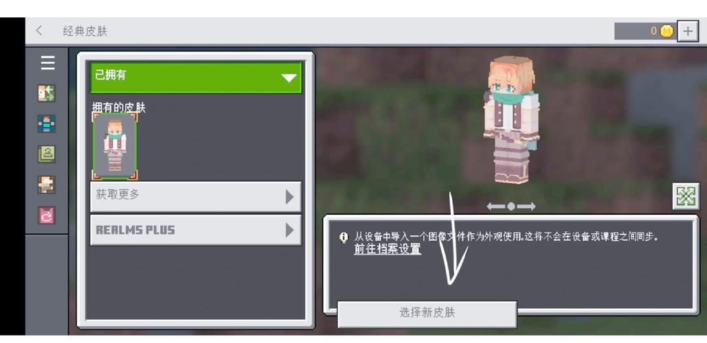 我的世界国际服导入皮肤图片