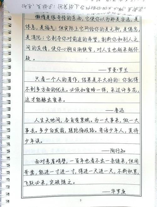 练字最经典的十句话光环加速版