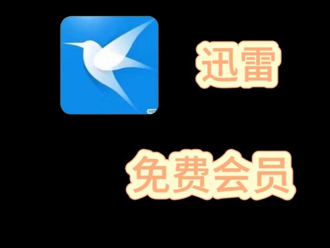 迅雷安卓精简版永久vip无广告缩略图