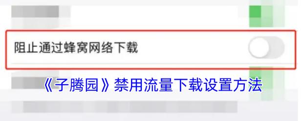 如何限制某个软件的流量使用
