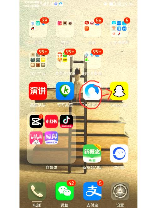 在中国怎么上snapchat无删减版图标