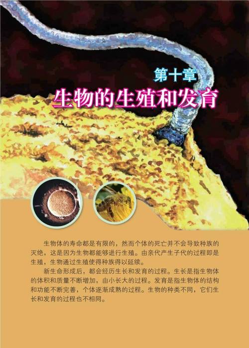 共同发育最新版本更新内容介绍手机版图标