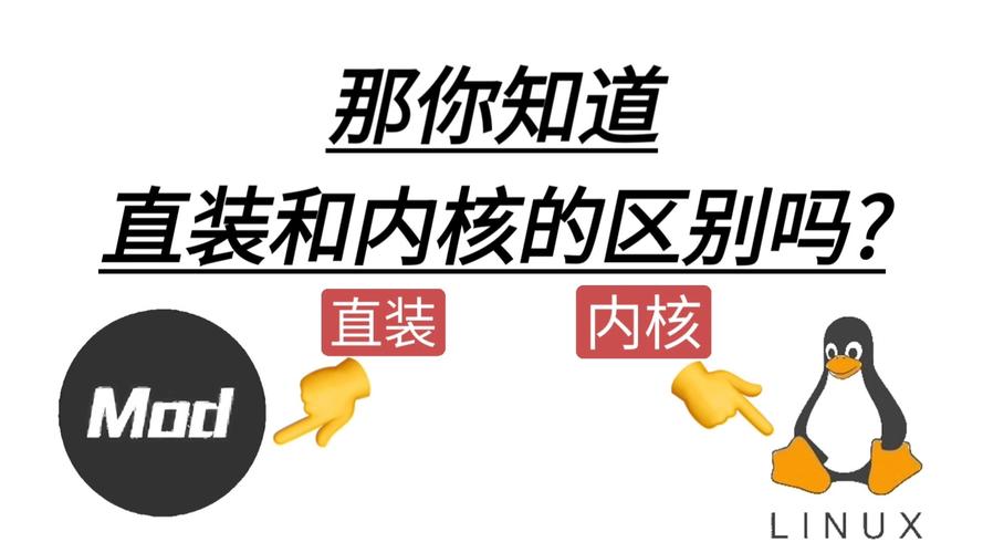 直装和内核挂的区别永久不升级缩略图