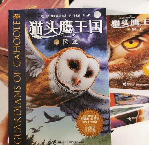 猫头鹰小说免费版