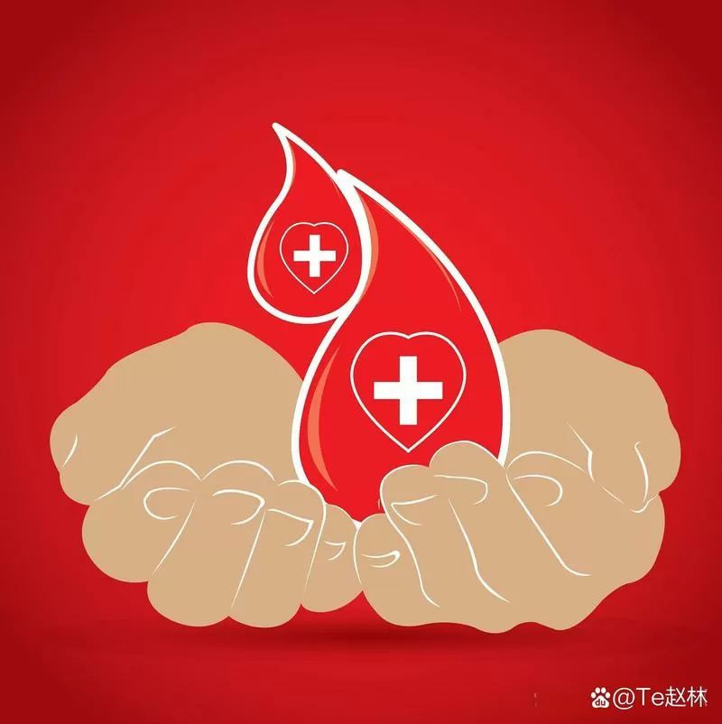 血气分析里thb图标