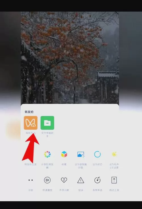 空间相册的视频怎么保存到手机相册游戏截图