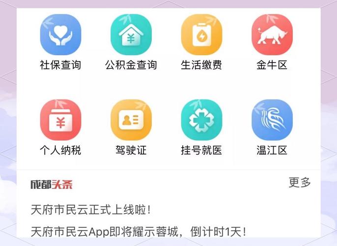 天府市民云查询房产下载app天府市民云社保查询 官方缩略图