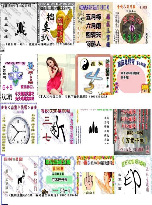 3d八哥图库福彩福彩手机版下载缩略图