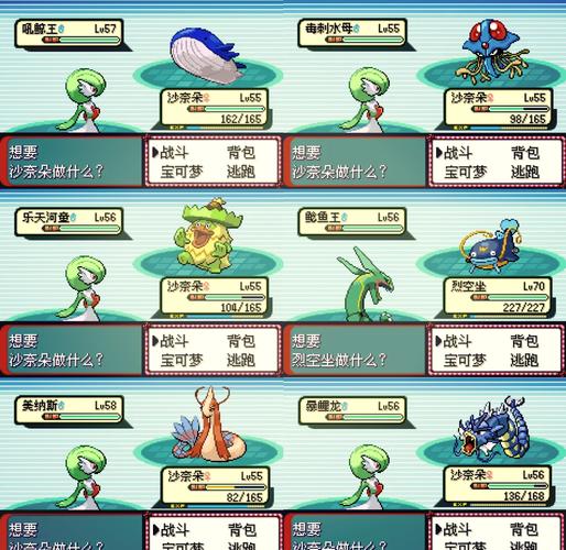 口袋妖怪究极绿宝石5.3攻略一周目图文完整版缩略图
