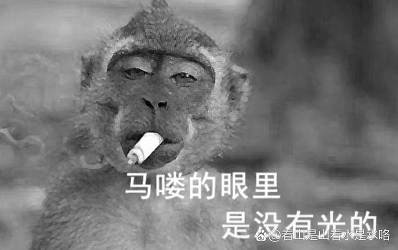 吗喽是什么意思 网络用语吗喽的意思缩略图