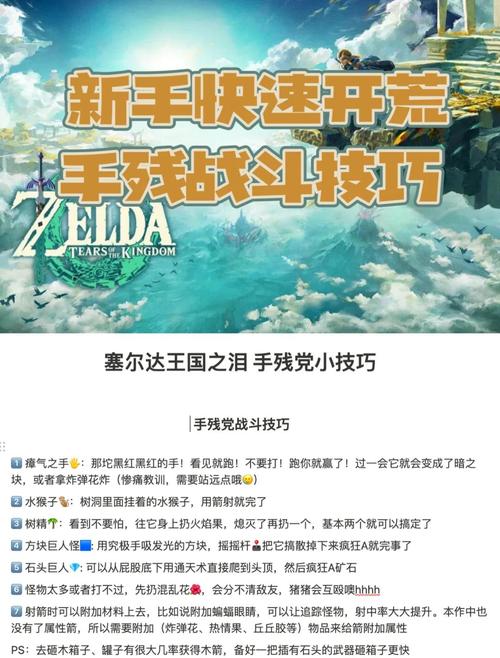 《塞尔达传说王国之泪》全流程通关图文攻略图标